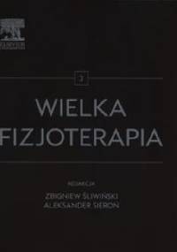 Wielka fizjoterapia Tom 3 - Aleksander Sieroń, Zbigniew Śliwiński