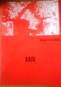 Kain - Michał Brzozowski