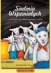 Siedmiu Wspaniałych i sześć innych, nie całkiem nieznanych historii - Roksana Jędrzejewska-Wróbel