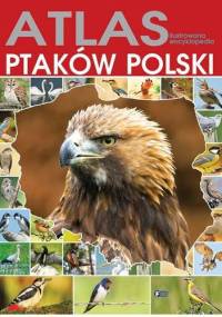 Atlas ptaków polski. Ilustrowana Encyklopedia - Michał Radziszewski, Mateusz Matysiak