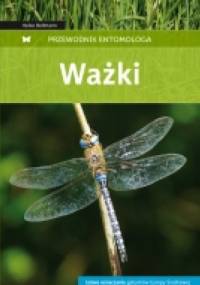 Ważki - Heiko Bellmann