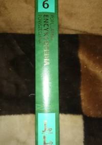 Popularna encyklopedia powszechna T.6. Jap/Lib
