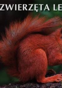 Zwierzęta leśne. Poznajemy zwierzęta - praca zbiorowa