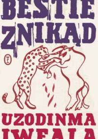 Bestie znikąd - Uzodinma Iweala