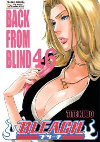 Bleach 46. Back From Blind - Tite Kubo