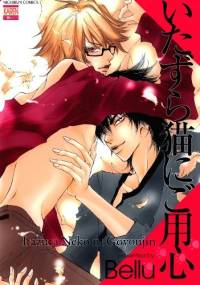 Itazura Neko ni Goyoujin - Bellu