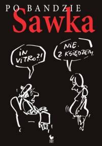 Po bandzie - Henryk Sawka
