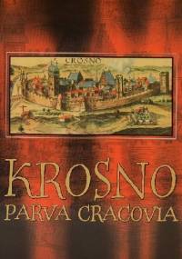 Krosno. Parva Cracovia. Badania wykopaliskowe na Rynku w Krośnie - Jan Gancarski, Anna Muzyczuk