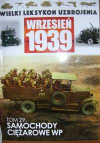 Samochody ciężarowe WP - Adam Jońca