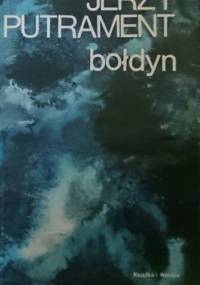 Bołdyn. Pisma tom 6 - Jerzy Putrament