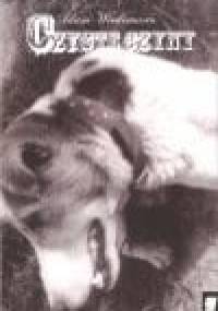 Czyste czyny. Wiersze zebrane 1989-2006 - Adam Wiedemann