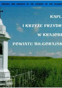 Kapliczki i krzyże przydrożne w krajobrazie powiatu biłgorajskiego - Marian Kurzyna