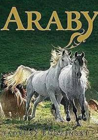 Araby. Dzieci Wiatru - Tadeusz Budziński