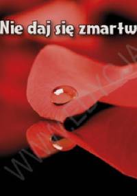 Nie daj się zmartwieniom. Perełka 100 - praca zbiorowa