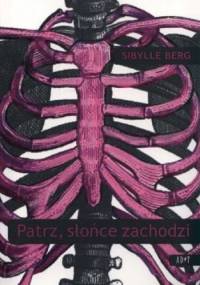 Patrz słońce zachodzi - Sibylle Berg