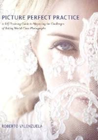 Picture Perfect Practice: A Self-Training Guide to Mastering the Challenges of Taking World-Class Photographs - Roberto Valenzuela