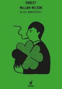Ulica marzycieli - Robert McLiam Wilson