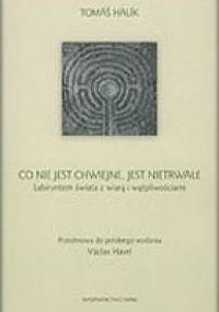 Co nie jest chwiejne, jest nietrwałe: Labiryntem świata z wiarą i wątpliwościami - Tomáš Halík