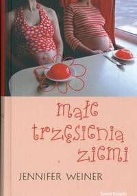 Małe trzęsienia ziemi - Jennifer Weiner