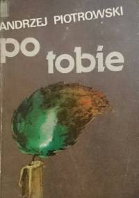 Po tobie - Andrzej Czcibor-Piotrowski