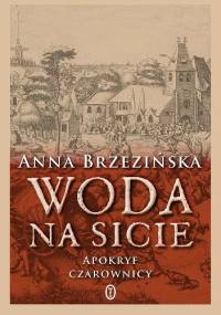 Woda na sicie. Apokryf czarownicy - Anna Brzezińska