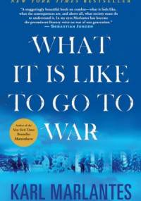 What It Is Like To Go To War - Karl Marlantes