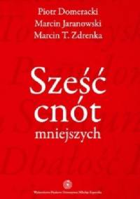 Sześć cnót mniejszych