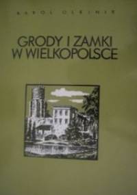 Grody i zamki w Wielkopolsce - Karol Olejnik