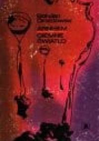 Arnhem - ciemne światło - Bohdan Drozdowski