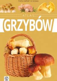 Atlas grzybów - Wiesław Kamiński