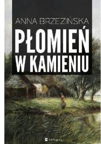 Płomień w kamieniu - Anna Brzezińska