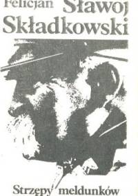 Strzępy meldunków - Felicjan Sławoj Składkowski