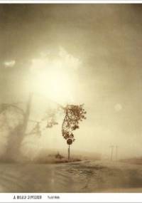 A Road Divided - Todd Hido