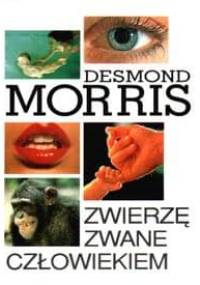Zwierzę zwane człowiekiem - Desmond John Morris