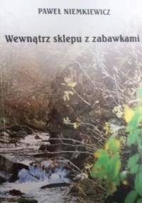 Wewnątrz sklepu z zabawkami - Paweł Niemkiewicz