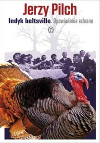 Indyk beltsville. Opowiadania zebrane - Jerzy Pilch
