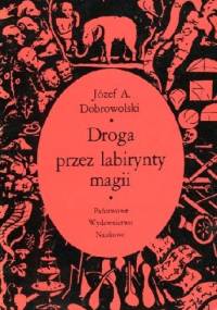 Droga przez labirynty magii. - JózefAndrzej Dobrowolski