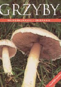 Grzyby. Rozpoznawanie i zbieranie - Till Reinhard Lohmeyer, Ute Künkele