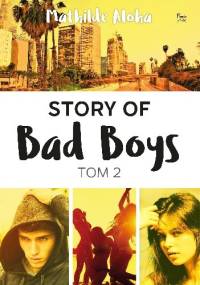 Story of Bad Boys t. 2 - Mathilde Aloha
