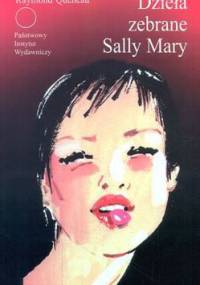 Dzieła zebrane Sally Mary - Raymond Queneau