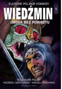 Wiedźmin. Droga bez powrotu