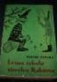 Leśna szkoła strzelca Kaktusa - Wiktor Zawada