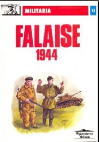 Falaise 1944 - Jacek Solarz
