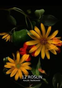 12 Roślin - Będkowski Kacper