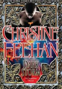 Dark Storm - Christine Feehan