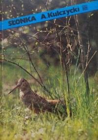 Słonka - Antoni Kulczycki