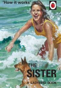 How it Works: The Sister - J.A. Hazeley, Joel Morris