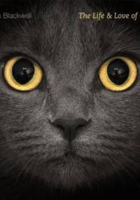 The Life and Love of Cats - Lewis Blackwell