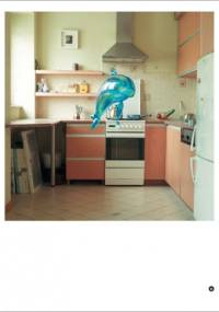 Decydujący moment. Nowe zjawiska w fotografii polskiej po 2000 roku - Adam Mazur