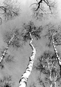 Listopad nad Narwią - Julia Fiedorczuk